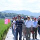 创制新农药环氧虫啶防控水稻虫害田间示范观摩会在福建仙游召开